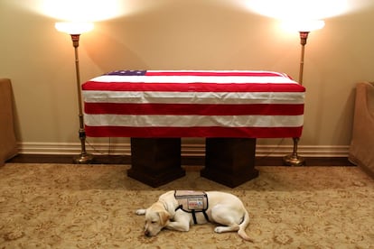 El último paseo de Sully con su dueño ha sido un viaje a Washington DC, hasta donde ha acompañado el ataúd del expresidente George h. W. Bush, con quien compartió hasta el último momento de su vida. Sully es un labrador blanco de dos años que trabaja como perro de servicio, y que se había covertido en un gran amigo del expresidente, que murió este fin de semana a los 94 años en su casa de Houston. El portavoz del exmandatario inmortalizó este imagen, en la que su fiel compañero descansa junto a su amo por última vez. "Misión cumplida", tuiteó.