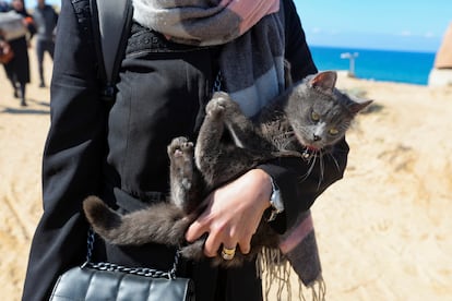 Hala Sleem, una mujer palestina que fue desplazada al sur de Gaza durante la guerra, lleva a un gato de vuelta a su casa.