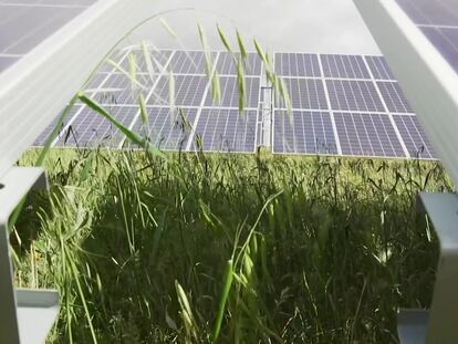 Paneles solares de Iberdrola, en una imagen de archivo.