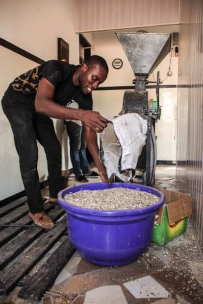 Kwami Williams, co-fundador de la Startup MoringaConnect, en su laboratorio ubicado en las afueras de la capital Accra.