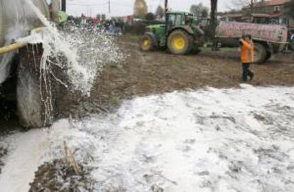 Ganaderos gallegos tiran la leche por el campo para protestar por los bajos precios los que la venden a la industria y por del aumento de los costes de producción, esta mañana en la localidad coruñesa de Arzúa.