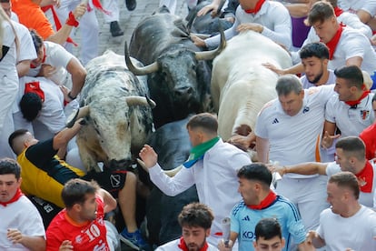 Los mozos son perseguidos por toros de la ganadería Cebada Gago.