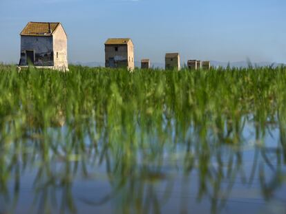 Casas de aperos en el parque natural de La Albufera, en Valencia.