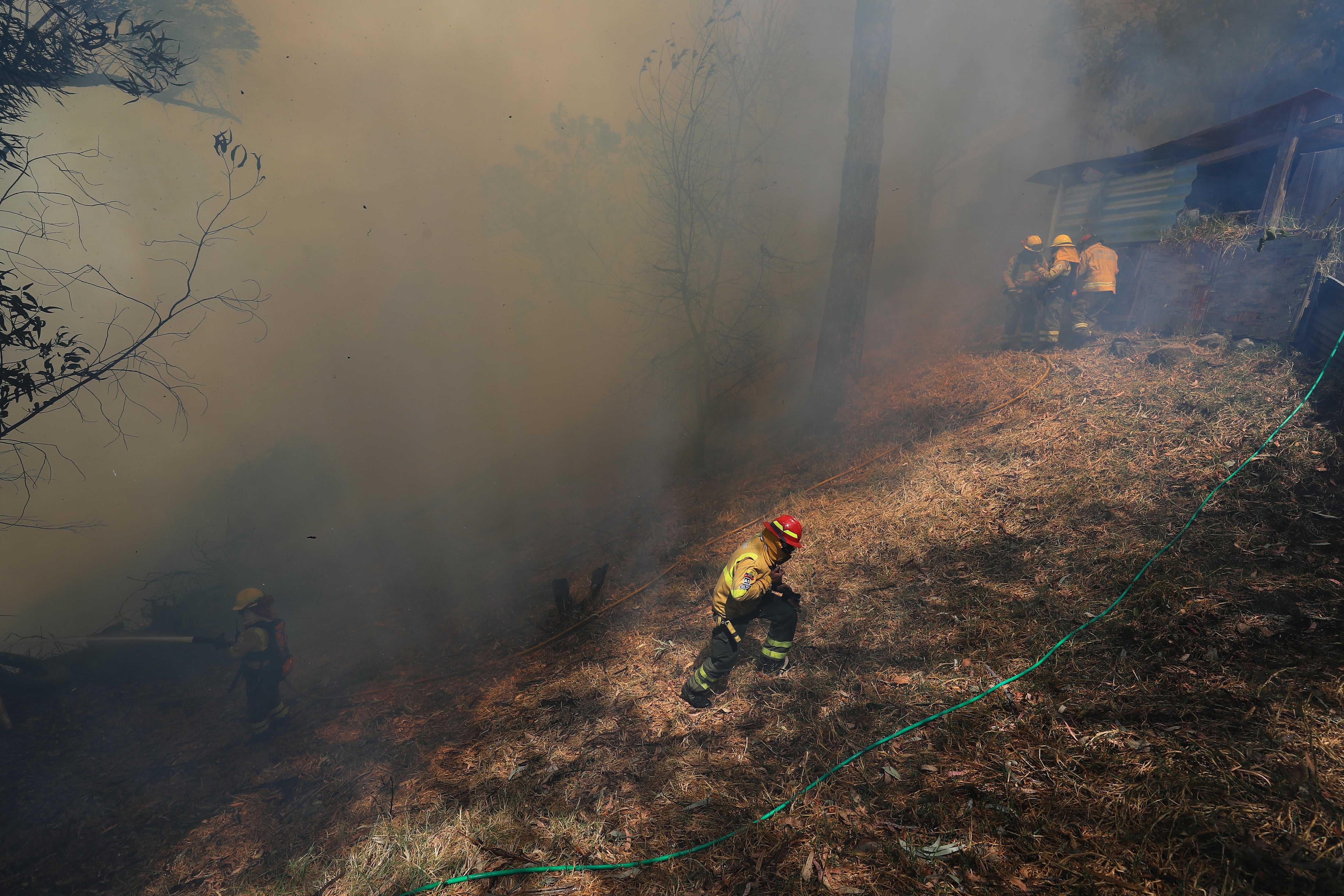 Los incendios forestales desatan el caos y declaran estado de emergencia en Quito