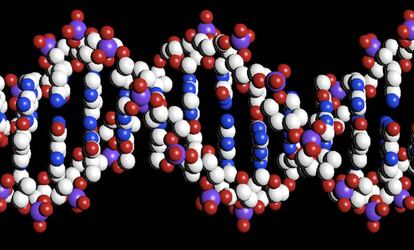 Representaci&oacute;n de una doble h&eacute;lice de ADN.