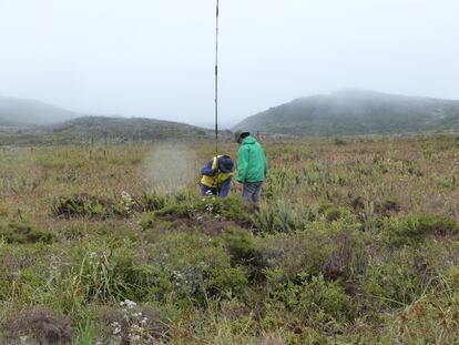 Dos científicos exploran los sedimentos en busca de muestras fosilizadas.