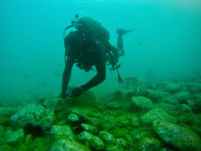 José Pérez pescando ortiguillas.