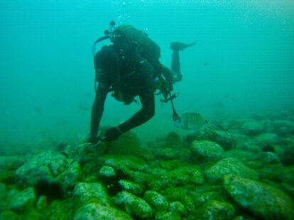 José Pérez pescando ortiguillas. 