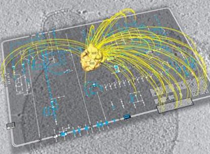 Representación de la información genómica, metábolica, proteómica, estructural y celular de la bacteria <i>Mycoplasma pnemoniae</i>. La imagen en amarillo representa el ribosoma.