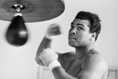 Hasta el boxeador más grande de todos los tiempos, que flotaba como una mariposa y picaba como una abeja, besó la lona hasta el cinco ocasiones. Muhammad Ali aceptó cada una de ellas, asegurando que “solo un hombre que sabe lo que se siente al ser derrotado puede llegar hasta el fondo de su alma y sacar ese extra de energía necesario para ganar un combate que está igualado”.