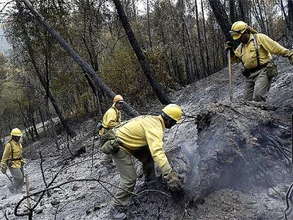 Operarios del Infoca realizaban el viernes labores de control en la Sierra de Las Villas.