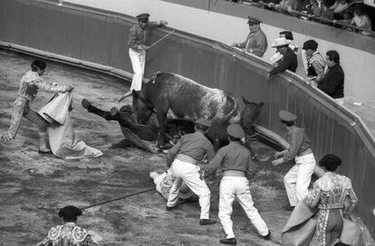 Toros en Ciudad de México