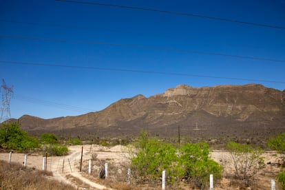 El terreno en el que será construida la fábrica como se ve actualmente.