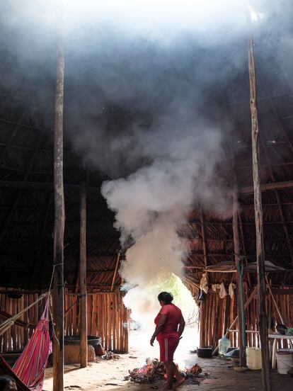 La ceniza alcalina de las hojas de yarumo se mezcla con hojas de coca tostadas y molidas cuyo consumo es tradicional de muchas comunidades amazónicas.