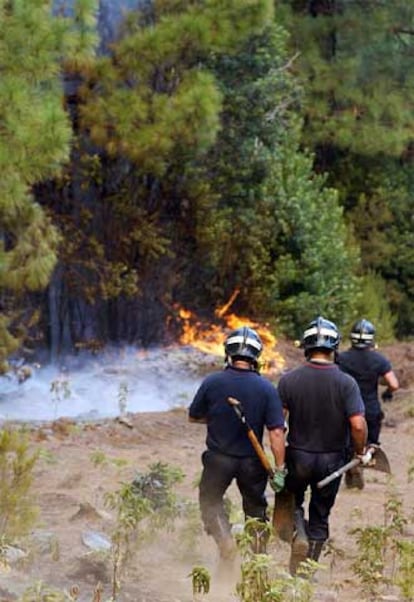 Unos 250 efectivos siguen trabajando en las tareas de extinción.