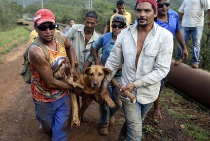 Homens resgatam um cachorro que ainda permanecia na área de lama neste sábado.