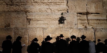 Un grupo de hombres judíos ultra ortodoxos rezan en el Muro Occidental en la Ciudad Vieja de Jerusalén.