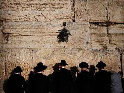 Un grupo de hombres judíos ultra ortodoxos rezan en el Muro Occidental en la Ciudad Vieja de Jerusalén.