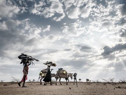 Migración de una familia de Turkana, en el noroeste de Kenia, debido a las fuertes sequías de los últimos años, en septiembre de 2019.