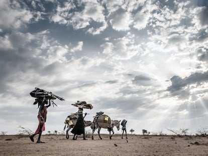 Migración de una familia de Turkana, en el noroeste de Kenia, debido a las fuertes sequías de los últimos años, en septiembre de 2019.