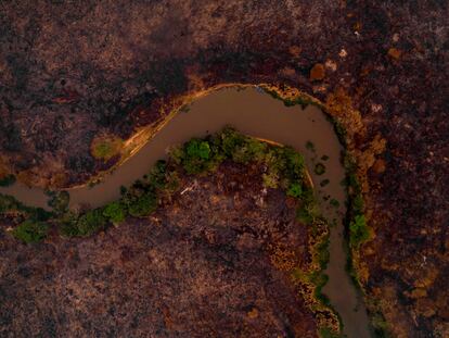 Imagen aérea de una zona quemada en el Pantanal, en Mato Grosso (Brasil), el pasado septiembre.