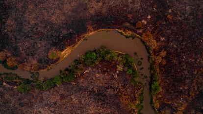 Imagen aérea de una zona quemada en el Pantanal, en Mato Grosso (Brasil), el pasado septiembre.