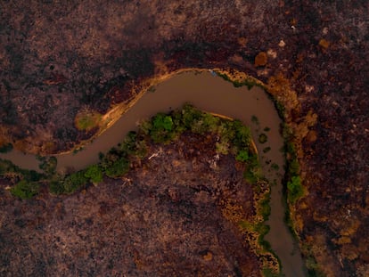 Imagen aérea de una zona quemada en el Pantanal, en Mato Grosso (Brasil), el pasado septiembre.