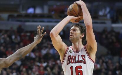 Pau Gasol.