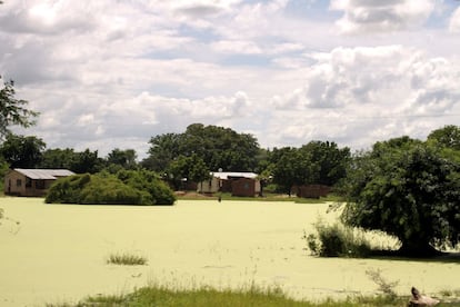 Camino al sur de Malawi, a escasos 20 kilómetros de la frontera con Mozambique, se encuentra una de las zonas más afectadas por las inundaciones que tuvieron lugar en enero de 2015. Meses después la imagen no ha cambiado en esencia. Agua por todas partes.