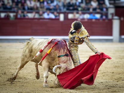 Alejandro Peñaranda torea al natural a su segundo novillo.