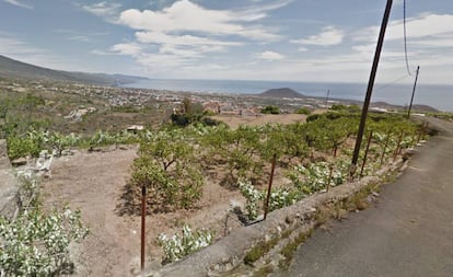 Afueras del municipio de G&uuml;&iacute;mar (Santa Cruz de Tenerife), donde ocurrieron los hechos.
