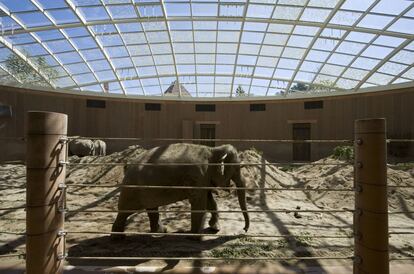 La casa de los elefantes (Elephant House) del zoo de Copenhague, proyectada por Norman Foster, cuenta con un gran techo acristalado de 45 por 23 metros.