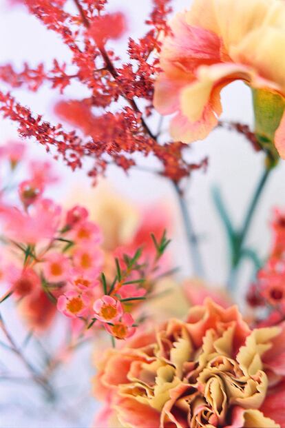 Una de las preciosistas fotografías florales de Paula Codoñer.