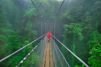 Costa Ricaes el paraíso americano del ecoturismo y de la aventura al aire libre. Vida salvaje, lagos volcánicos, playas desérticas, ríos de aguas bravas, olas gigantes y bosques envueltos en la bruma, como los de la reserva natural de Monteverde (en la foto). ¡Pura vida!