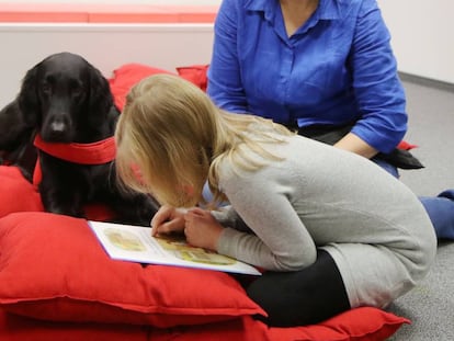 El perro que despertó el amor por la lectura de cientos de niños