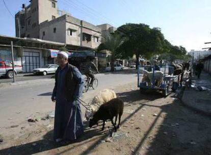 Un palestino tira ayer de un par de ovejas que acaba de comprar para una fiesta musulmana, en Gaza.