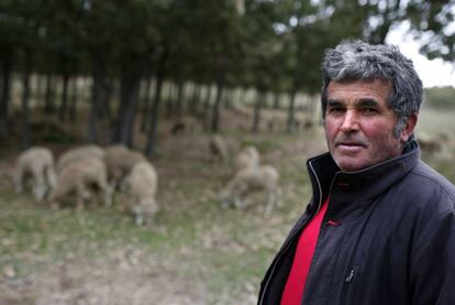 Jaime Yuste, propietario de una explotación de ganado ovino, que sufrió un ataque de lobos a principios de octubre.