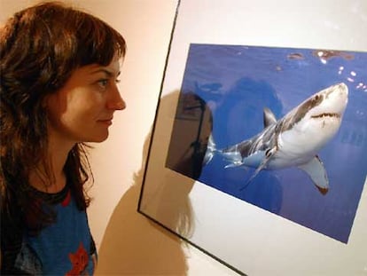 Una joven contempla la fotografía de Douglas David Seifert, en la categoría de especies amenazadas, que se muestra en Bilbao.