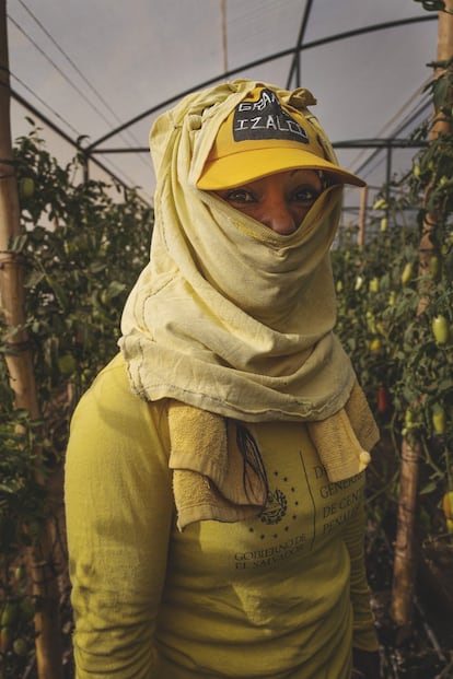 Cárcel de Izalco el pasado marzo. Estela recoge tomates en la Granja Penitenciaria. Lleva presa desde 2013. Fue trasladada a este centro por buena conducta. Aquí están mujeres a las que les falta poco para cumplir condena y que en opinión de las autoridades han tenido un comportamiento positivo. Cultivan un huerto, crían animales y pueden salir a ver a sus familias.