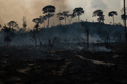 Nova Fronteira, zona amazónica del Norte de Brasil, tras un incendio en septiembre de 2022.
