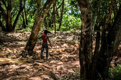 Un niño camina por el bosque, cerca de la mina El Perú, en el sur de Venezuela. Activistas y ambientalistas denuncian un "ecocidio" por la explotación minera esta región, así como la presencia de guerrilleros, paramilitares y narcotraficantes. 
"Me ha dado miedo cuando se arman los tiroteos y hay muertos, yo he estado trabajando y pasan cosas así", explicó a la AFP Gustavo, un niño minero de 11 años.