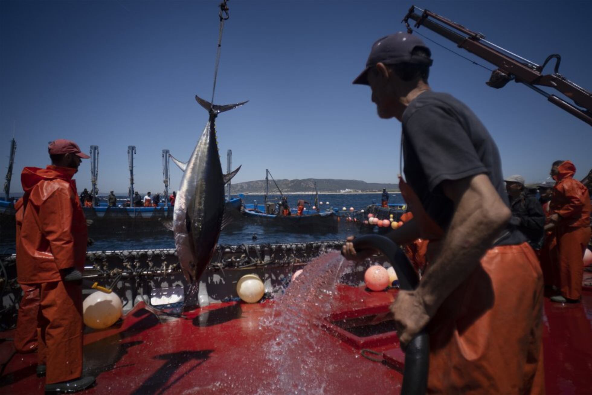 Qué se necesita para pescar en España