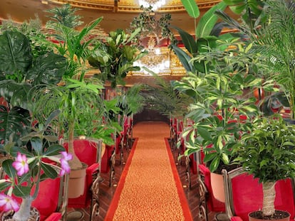 Projecció d'una imatge de la platea del Liceu amb les plantes ocupant les butaques com a espectadores d'un concert.