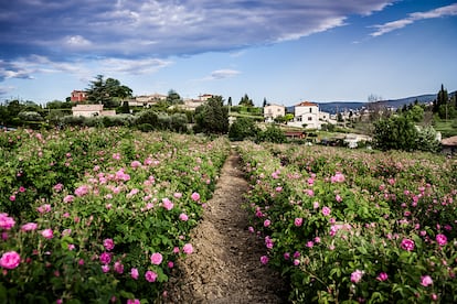 El Domaine de Manon, una extensión de cuatro hectáreas en Grasse.