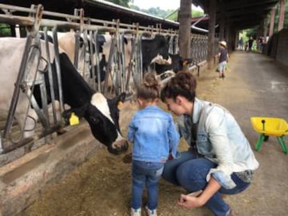 Visita a la granja y fábrica de yogures y helados artesanales La Fageda, situada en el parque natural de la Garrotxa.