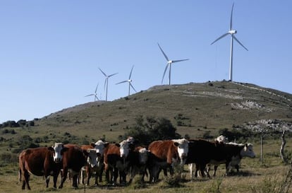 Molinos de viento en la Sierra de Caracoles, Uruguay.