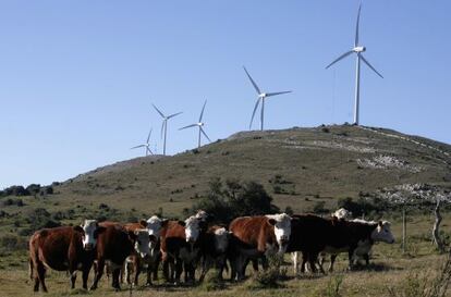 Moinhos de vento na Sierra de Caracoles, Uruguai.