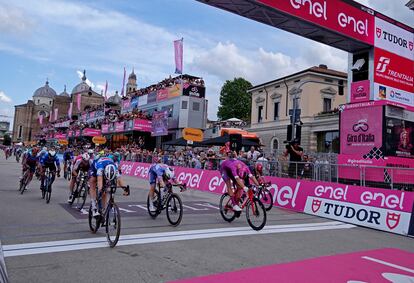 Tim Merlier Giro de Italia