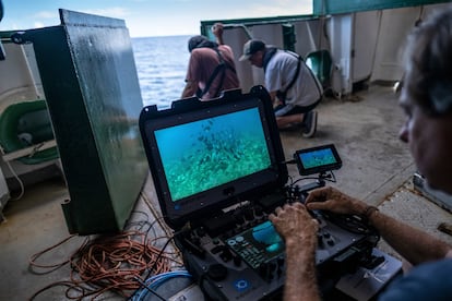Expedición científica de Greenpeace a Saya de Malha en 2021.