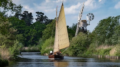 Un velero navega por el río Ant, en el parque natural The Broads, en el condado de Norfolk (Reino Unido).